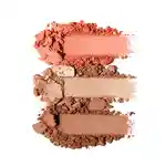 Swatch Anastasia Beverly Hills Face Palette