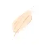 Swatch Morphe Filter Effect Soft Focus Foundation