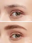 Alternative Image Kosas Air Brow Fluff& Hold Treatment Gel