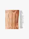 Alternative Image Clinique Even Better Clinical Serum Foundation SP F20