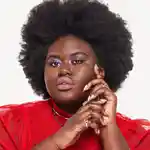 Alternative Image Urban Decay Vice Lipstick