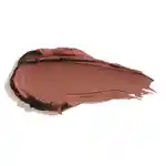 Swatch Urban Decay Vice Lipstick