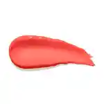 Swatch Urban Decay Vice Lipstick