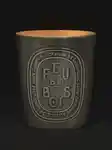 Alternative Image DIPTYQUE Feu De Bois600g Candle