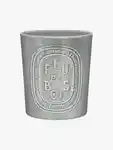 Hero DIPTYQUE Feu De Bois600g Candle