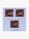 Alternative Image Kosas 10 Second Eye Gel Watercolor Eyeshadow