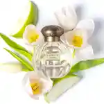 Alternative Image Tocca Giulietta EDP