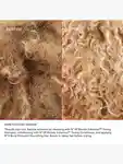 Alternative Image Olaplex No4 P Blonde Enhancer Toner Shampoo