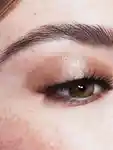 Alternative Image Stila Glisten& Glow Liquid Eye Shadow