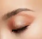 Alternative Image Tom Ford Eye Colour Quad Tiger Eye