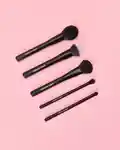 Alternative Image Mecca Max Makeup Maximisers5 Piece Essential Brush Set