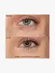 Alternative Image Too Faced Born This Way Super Coverage Multi Use Concealer