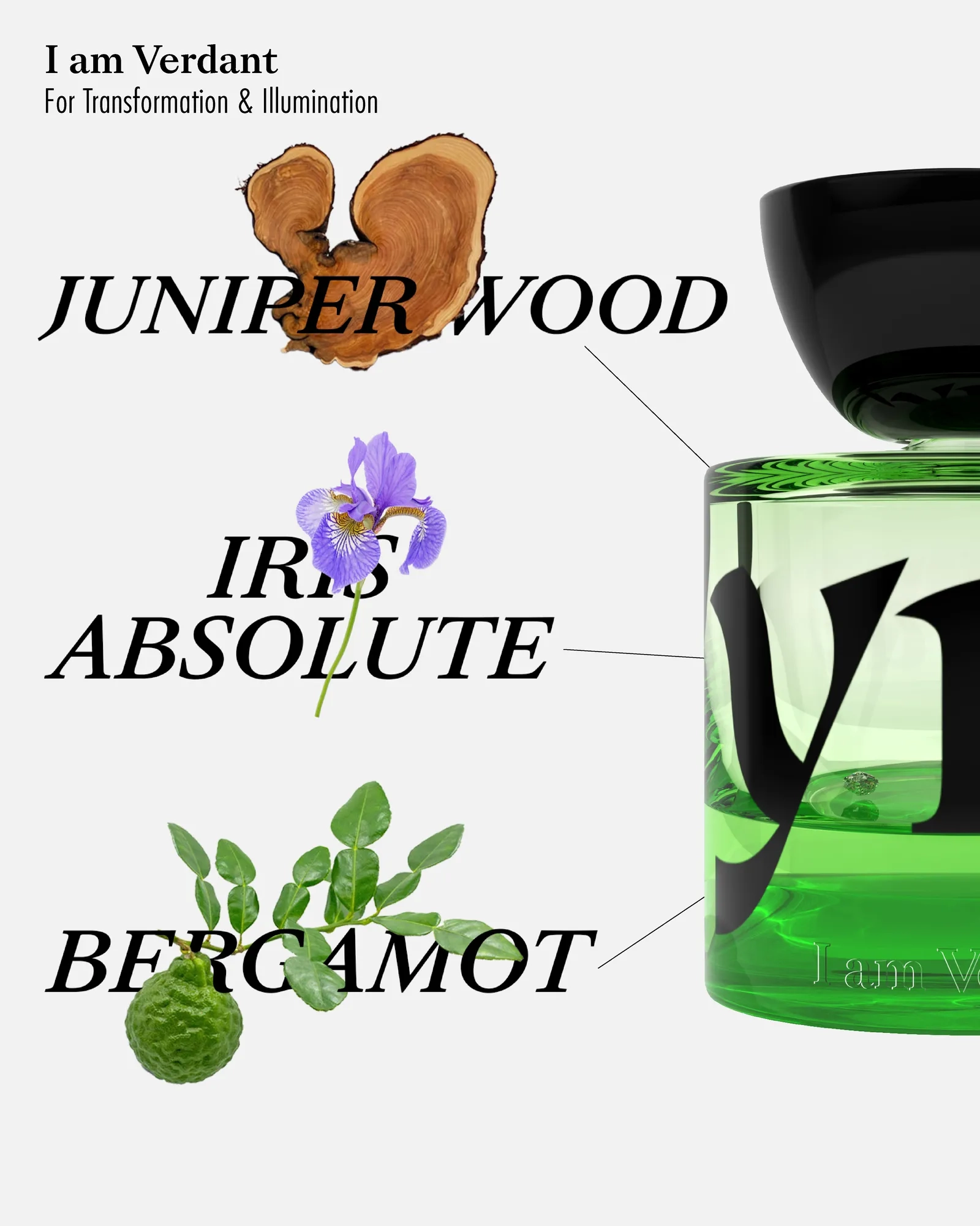 【Vyrao】 I am Verdant 香水(ユニセックス) I am Verdant - Vyrao