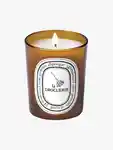 Alternative Image Diptyque Odor Removing Candle