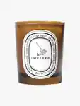 Hero Diptyque Odor Removing Candle