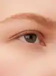 Alternative Image Westman Atelier Bonne Brow Defining Pencil