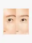 Alternative Image Shiseido Synchro Skin Radiant Lifting Concealer