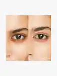 Alternative Image Shiseido Synchro Skin Radiant Lifting Concealer