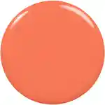 Swatch Essie Nail Polish