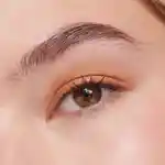 Alternative Image ILIA Liquid Powder Eye Tint Ochre