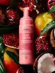 Alternative Image AVEDA Nutriplenish Styling Treatment Foam