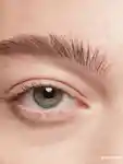 Alternative Image Bobbi Brown Natural Brow Shaper