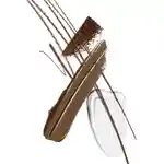 Swatch Morphe Supreme Brow5 Piece Artists Brow Kit