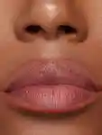 Alternative Image Stila Stay All Day Matte Lip Liner
