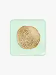 Alternative Image Chantecaille Lotus Radiance Highlighter