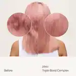 Alternative Image Living Proof Triple Bond Complex