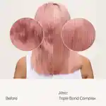Alternative Image Living Proof Triple Bond Complex