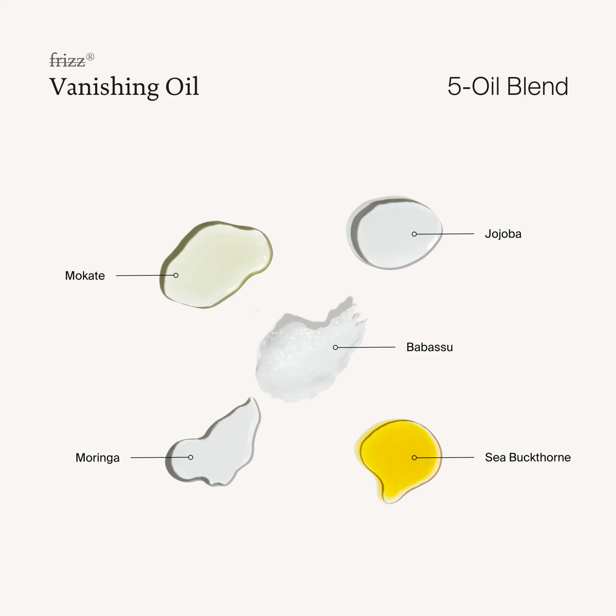 Alternative Image Living Proof No Frizz Vanishing Oil