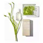 Alternative Image Malin+ Goetz Vetiver Edp 50ml