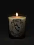 Alternative Image Diptyque Mimosa Candle190g