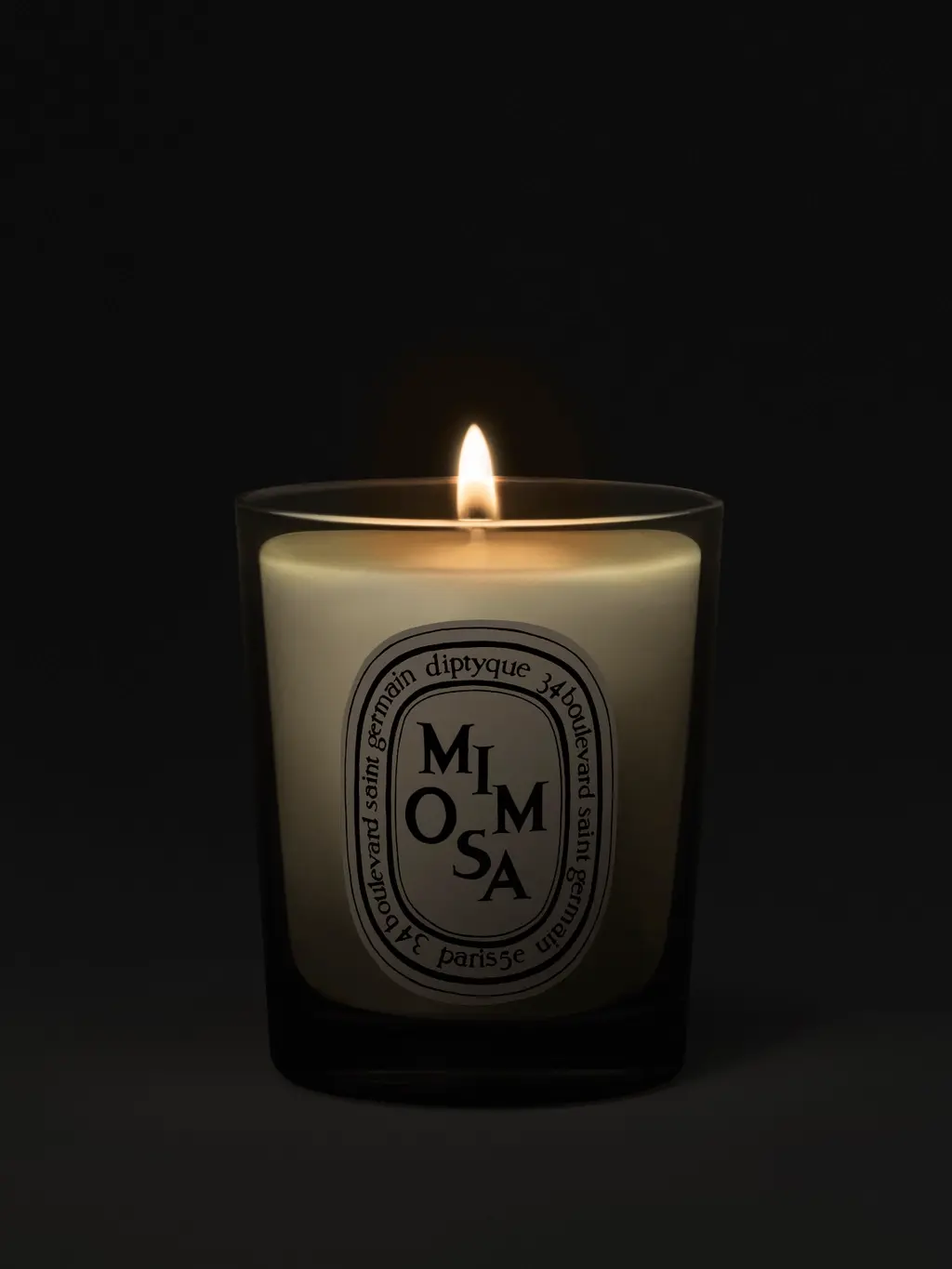 Alternative Image Diptyque Mimosa70 G Candle