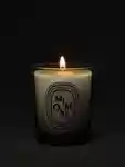 Alternative Image Diptyque Mimosa70 G Candle
