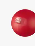 Alternative Image Face Gym Face Ball