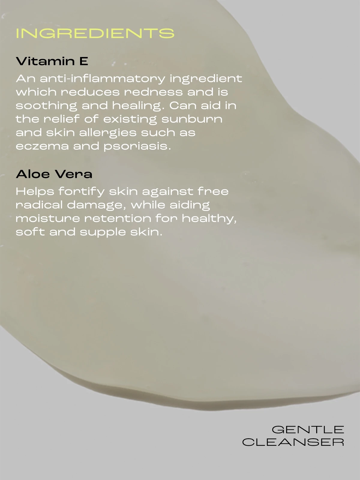 Alternative Image Skinstitut Gentle Cleanser