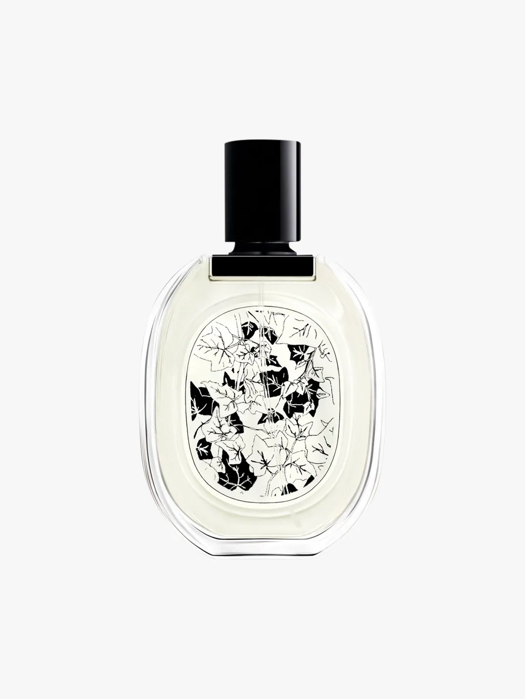 Alternative Image Diptyque Eau De Lierre ED T100ml