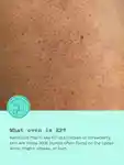 Alternative Image Frank Body Glycolic Scrub