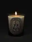 Alternative Image Diptyque Cypress Candle