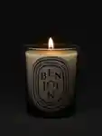 Alternative Image Diptyque Benjoin Candle190g