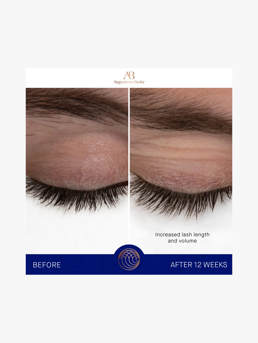 Alternative Image AUGUSTINUSBADEREYEBROWLASHSERUM