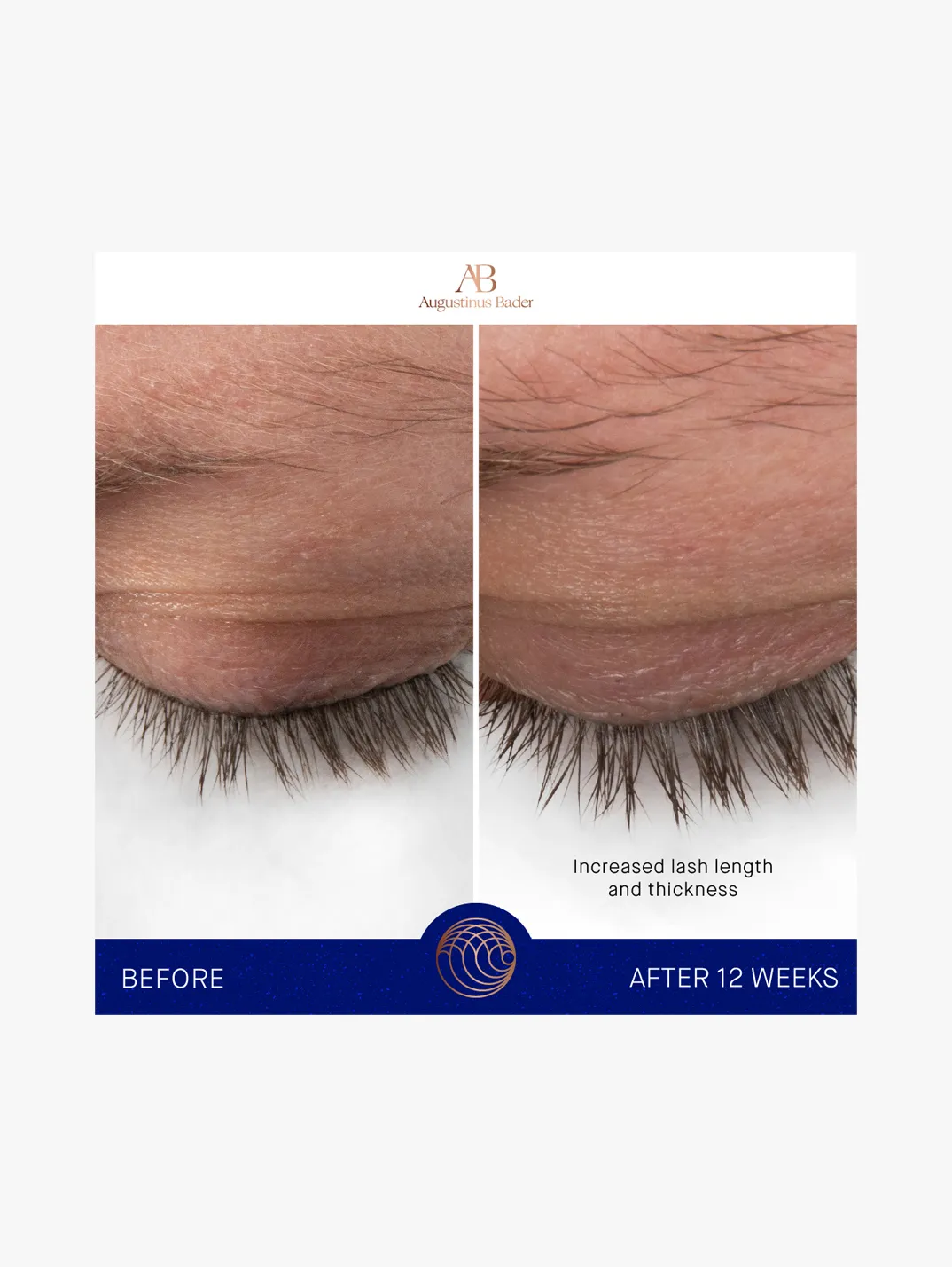 Alternative Image AUGUSTINUSBADEREYEBROWLASHSERUM