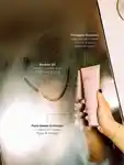 Alternative Image ARKIVE The Crown Scalp Scrub