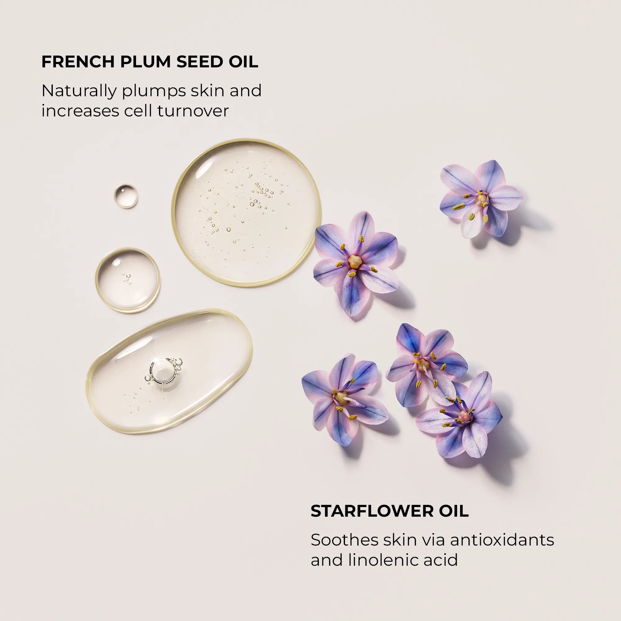 Alternative Image Laura Mercier Aromatic Bath& Body Oil Nerorli Du Sud