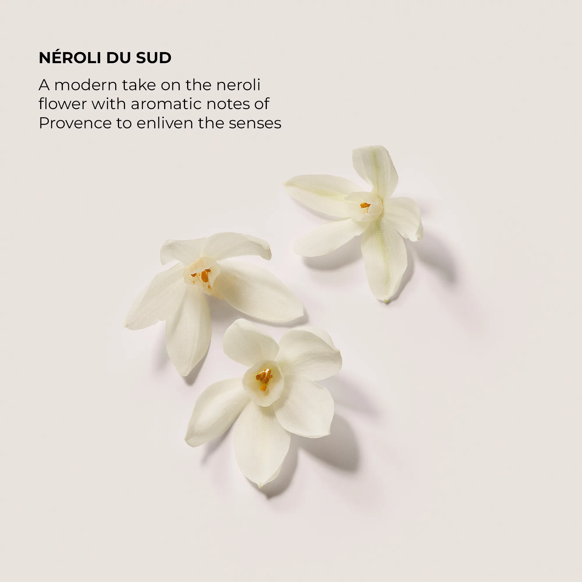 Alternative Image Laura Mercier Aromatic Bath& Body Oil Nerorli Du Sud