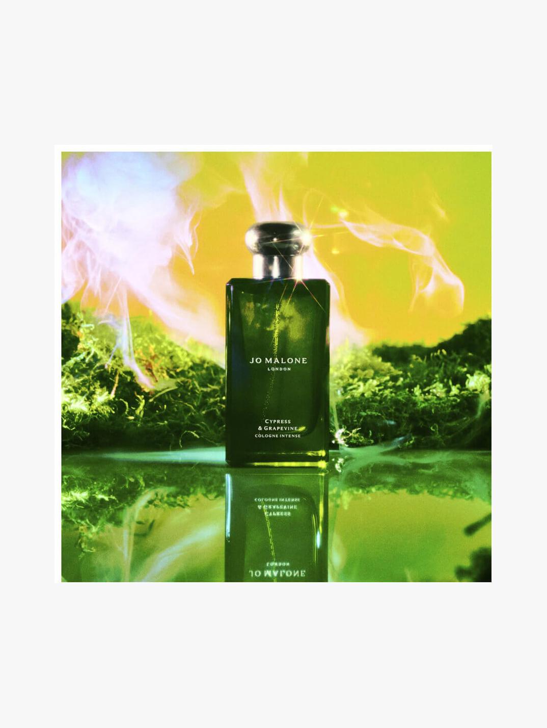 Cypress and grapevine online cologne intense