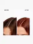 Alternative Image IGK Permanent Color Kit