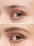 Alternative Image Kosas Brow Pop Nano Ultra Fine Detailing Pencil